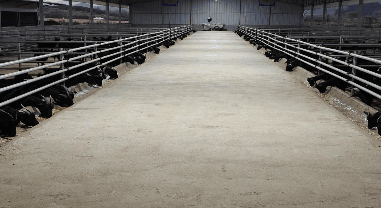 莲都文华村多措并举，赋能“百千万”典型村建设