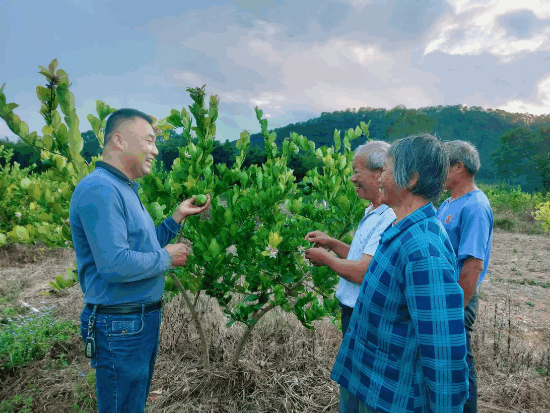 “兵支书”带领村民实现村集体经济“弯道”超车