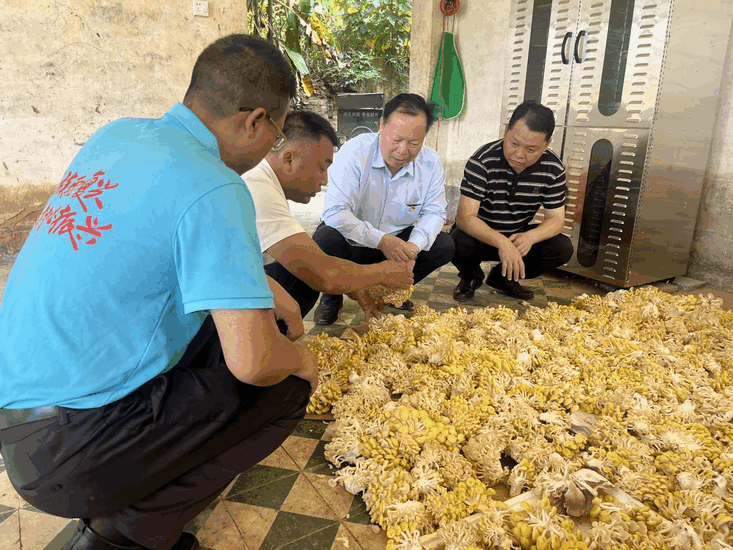 “兵支书”带领村民实现村集体经济“弯道”超车