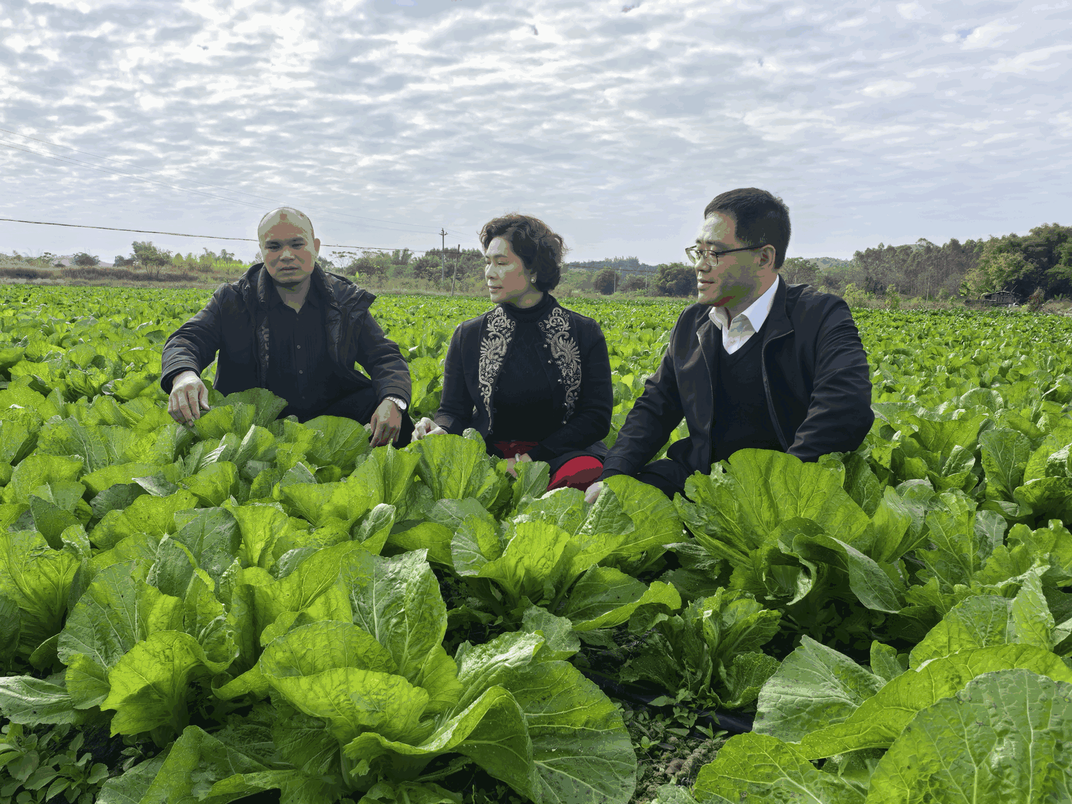 “合作社+招商引资”助力长安东山绿色崛起