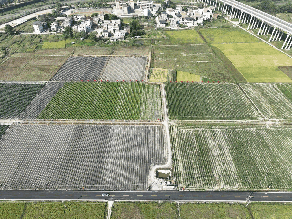 封开渔涝前进村让昔日广东“名村”换新颜