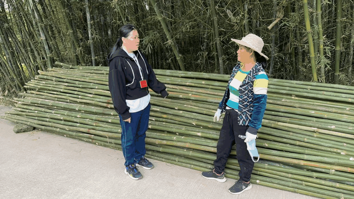 封开江川写好“竹”文章，让特色产业步入“快车道”