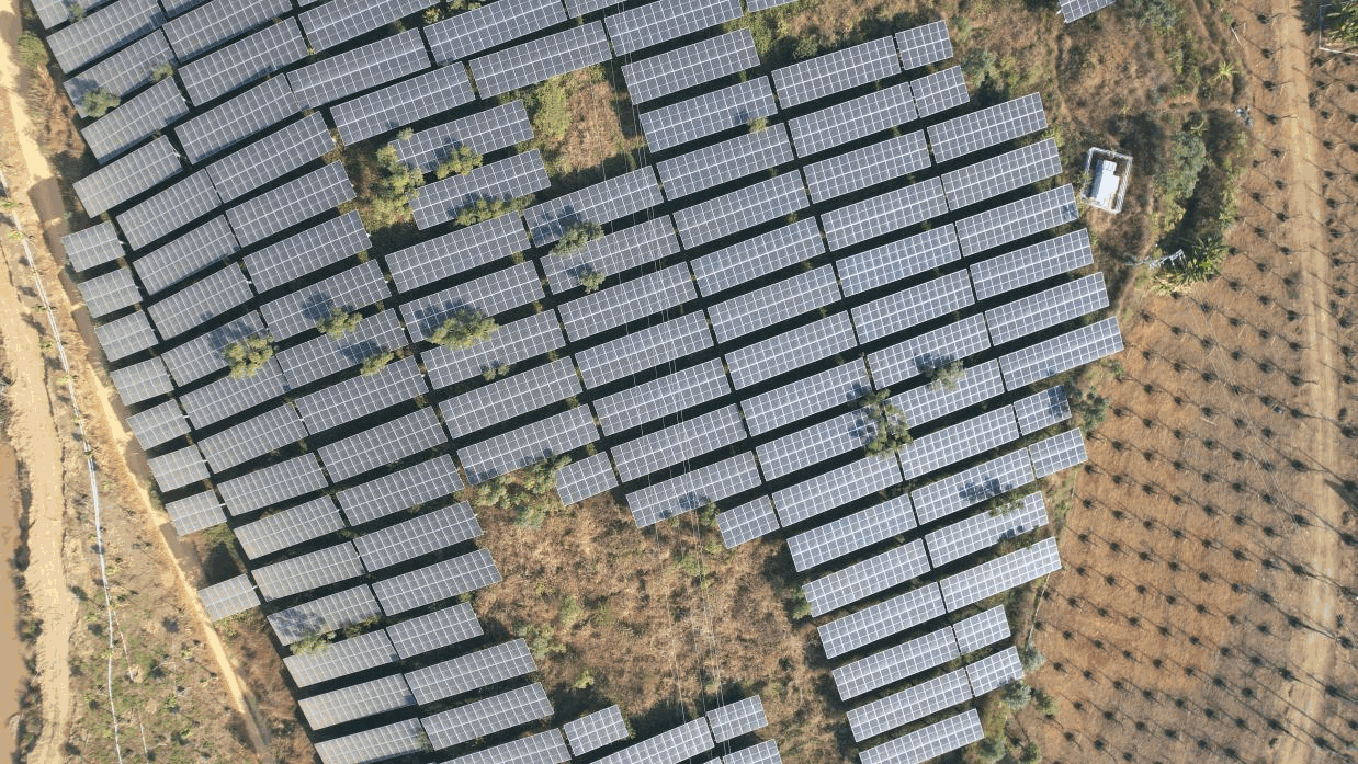 金装万安村探索多元发展路径，集体经济发“新枝”