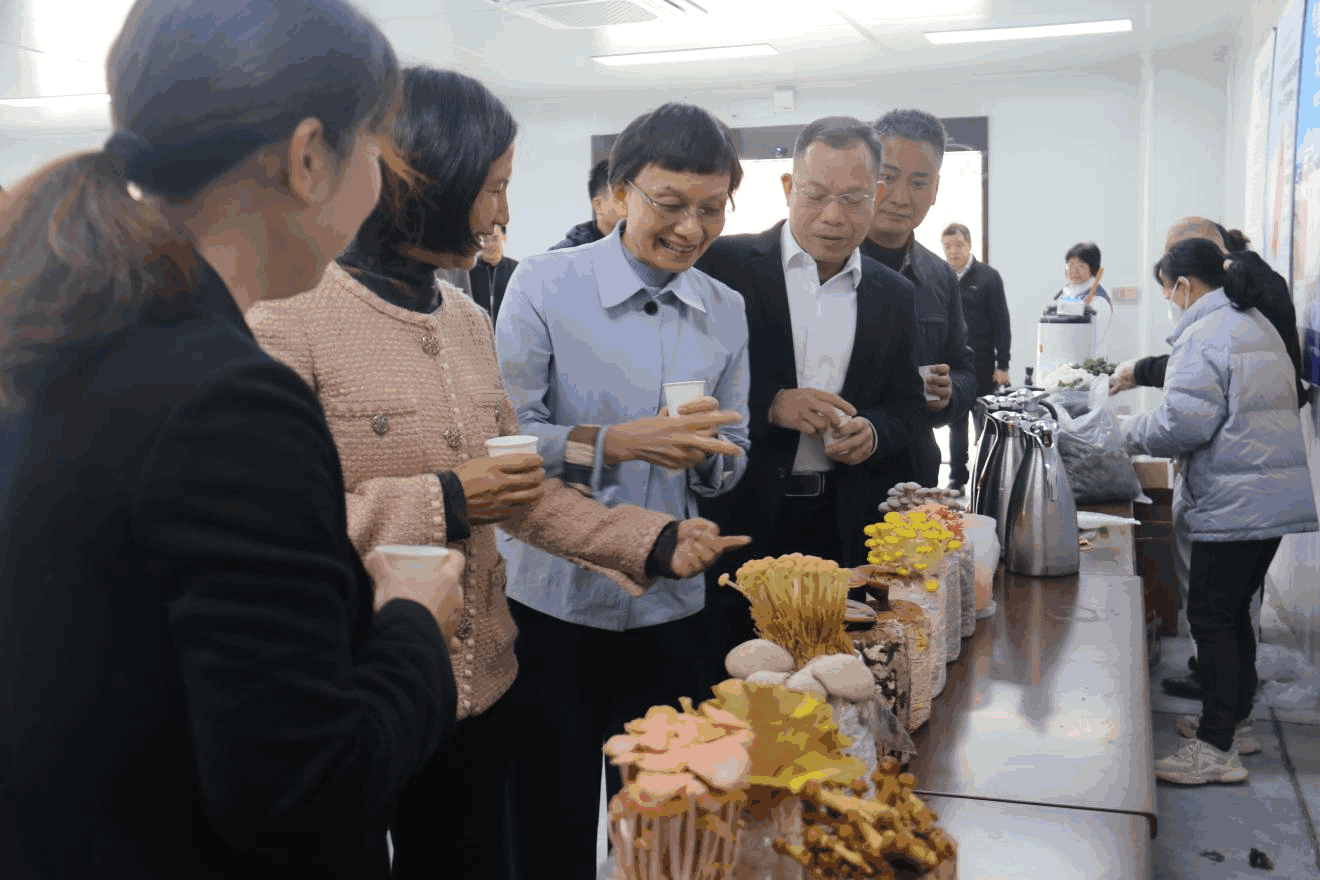 肇庆封开大玉口“腐竹 + 产业”全力打造“粤”字品牌