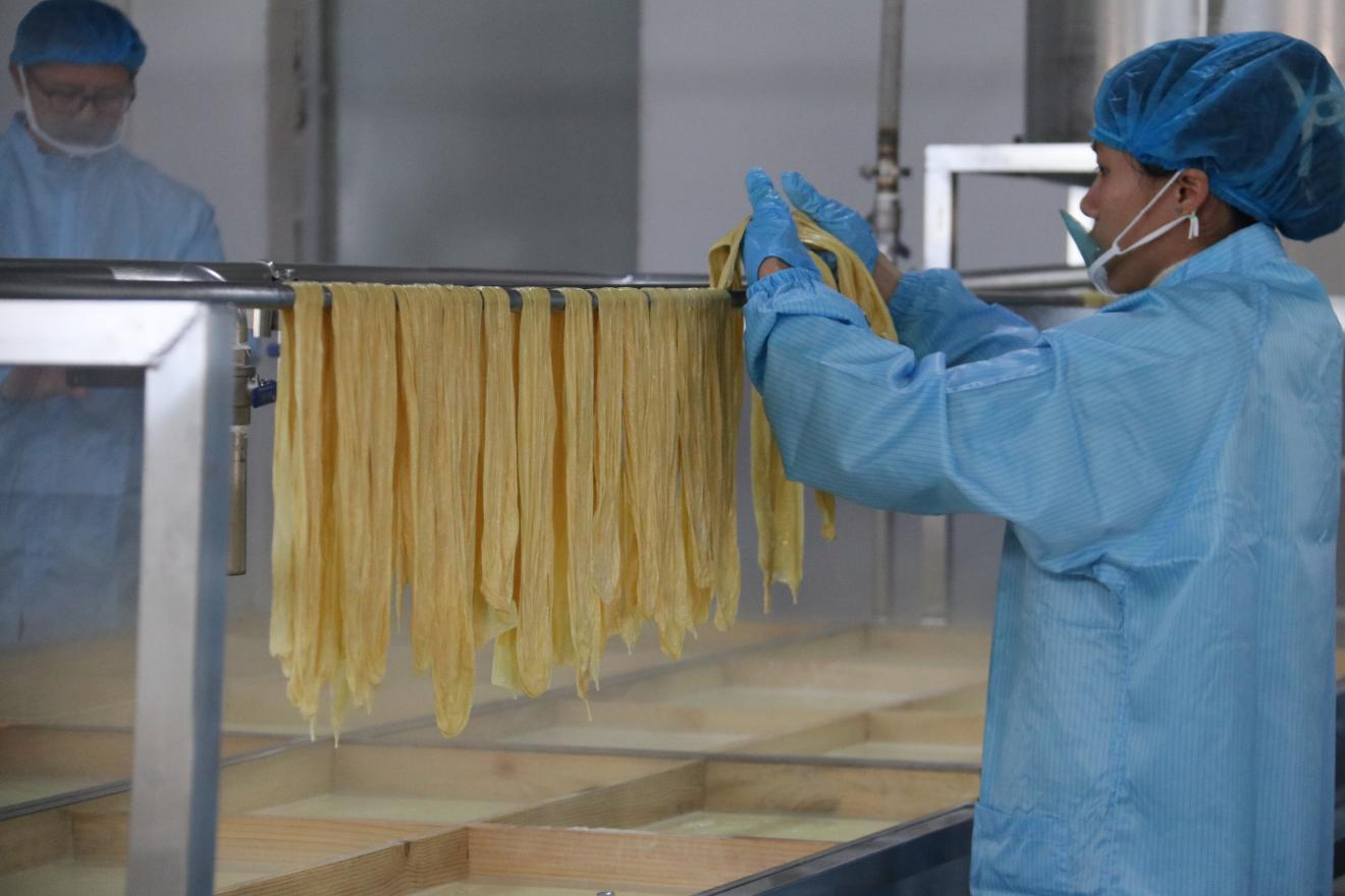 肇庆封开大玉口“腐竹 + 产业”全力打造“粤”字品牌