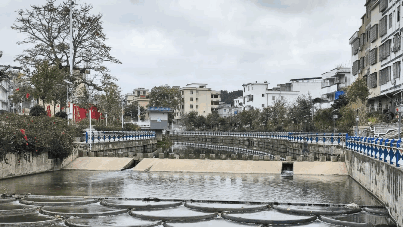 封开罗董携手企业助力镇村旧貌焕新颜