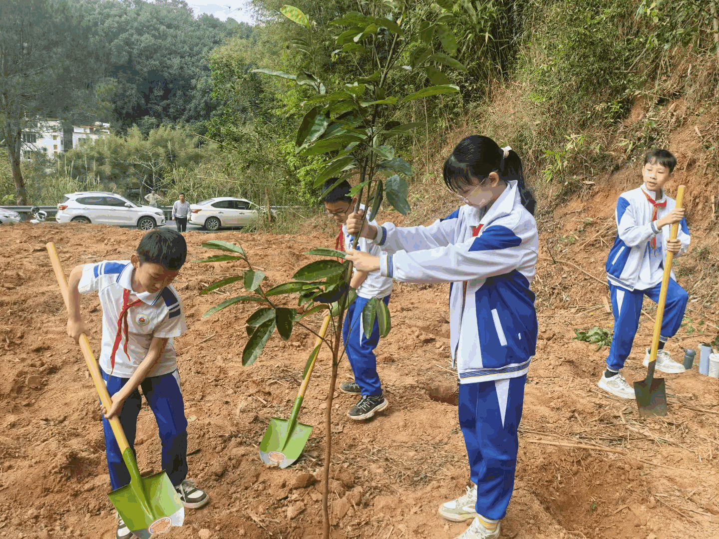 “植”此青绿，为春天上色，封开师生共“树”未来助力“百千万工程”