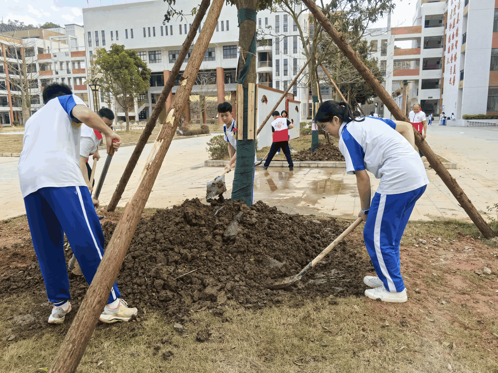 “植”此青绿，为春天上色，封开师生共“树”未来助力“百千万工程”