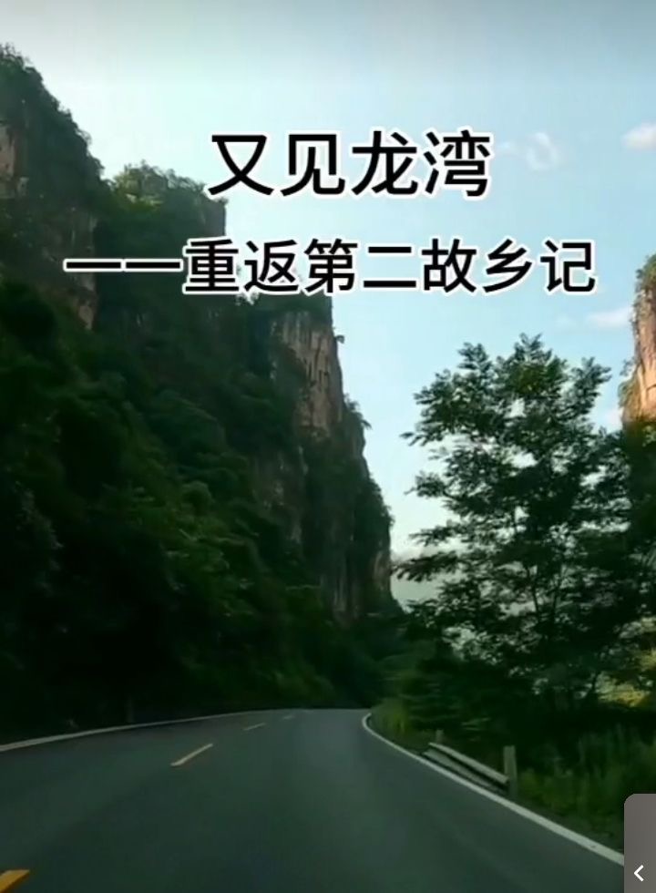 张传明‖又  见   龙   湾 ——重返第二故乡记