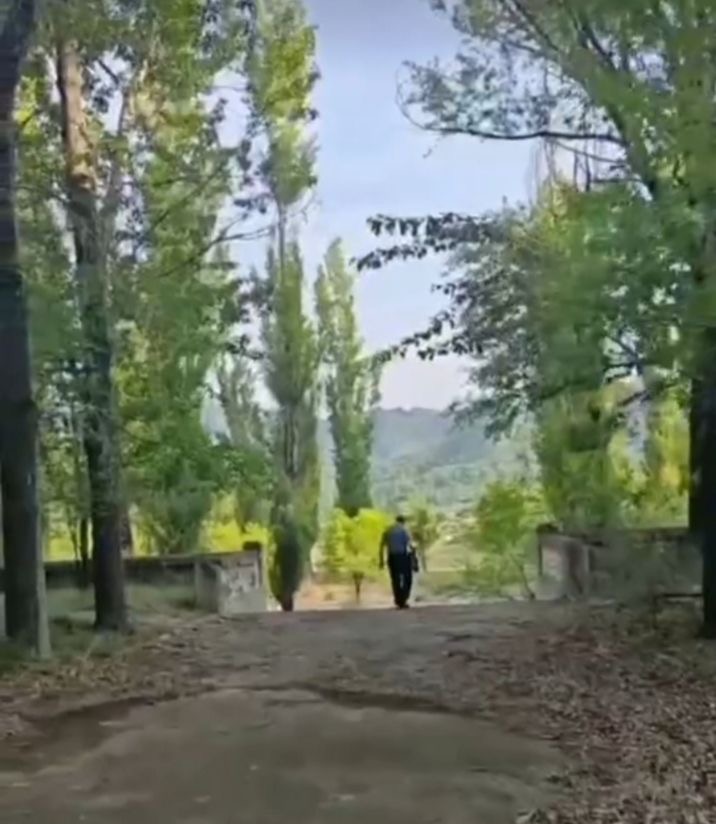 张传明‖又  见   龙   湾 ——重返第二故乡记