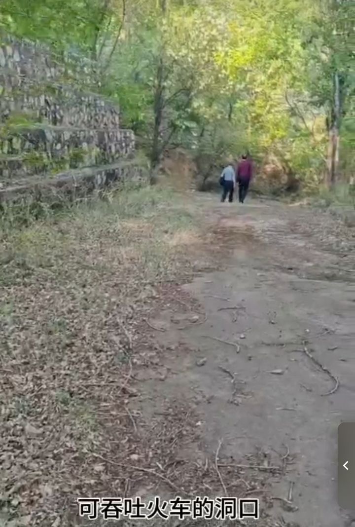 张传明‖又  见   龙   湾 ——重返第二故乡记