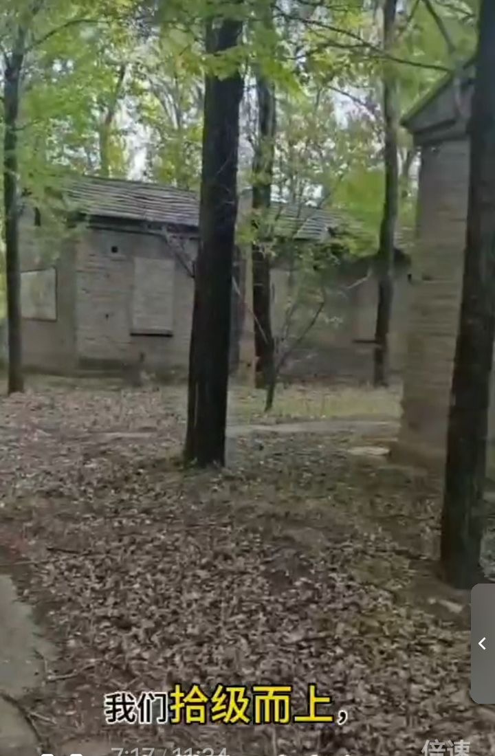 张传明‖又  见   龙   湾 ——重返第二故乡记