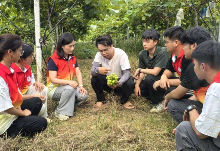 “菠萝兴农,甜享未来”青年突击队共绘“绿美江川”农文旅融合崭新蓝图