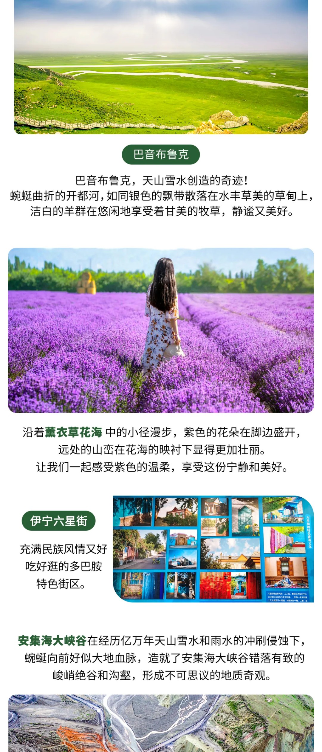 亚视微旅摄影旅游线路：独伊无二 | 独库公路中段+北段+孟克特景区+赛里木湖+薰衣草+那拉提+恰西草原+唐布拉+安集海