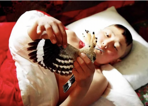 Aktan Arym Kubat | 吉尔吉斯斯坦电影界领军人物库巴特:“我与电影人物同行”