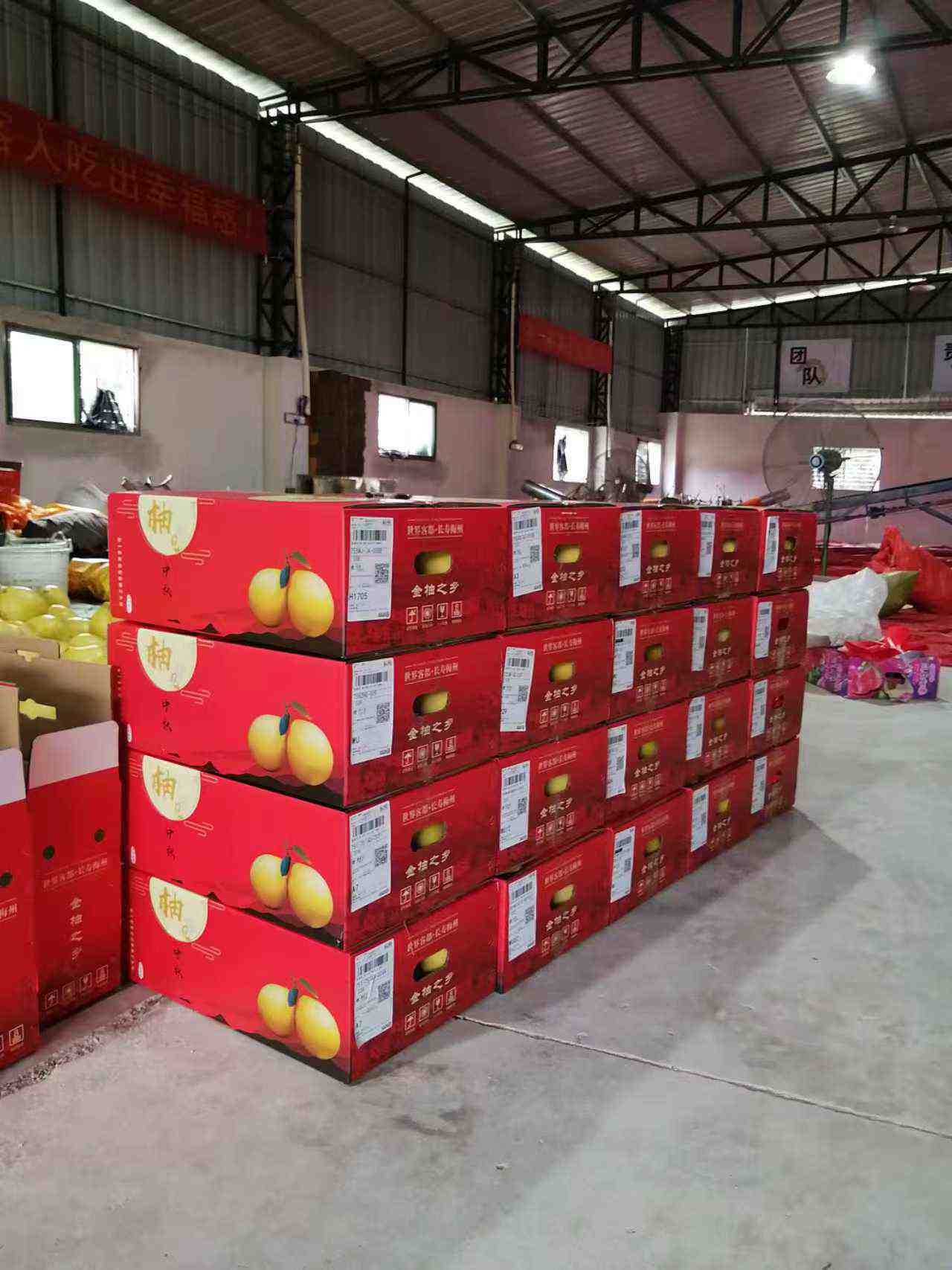 柚馋了红心/三红蜜柚