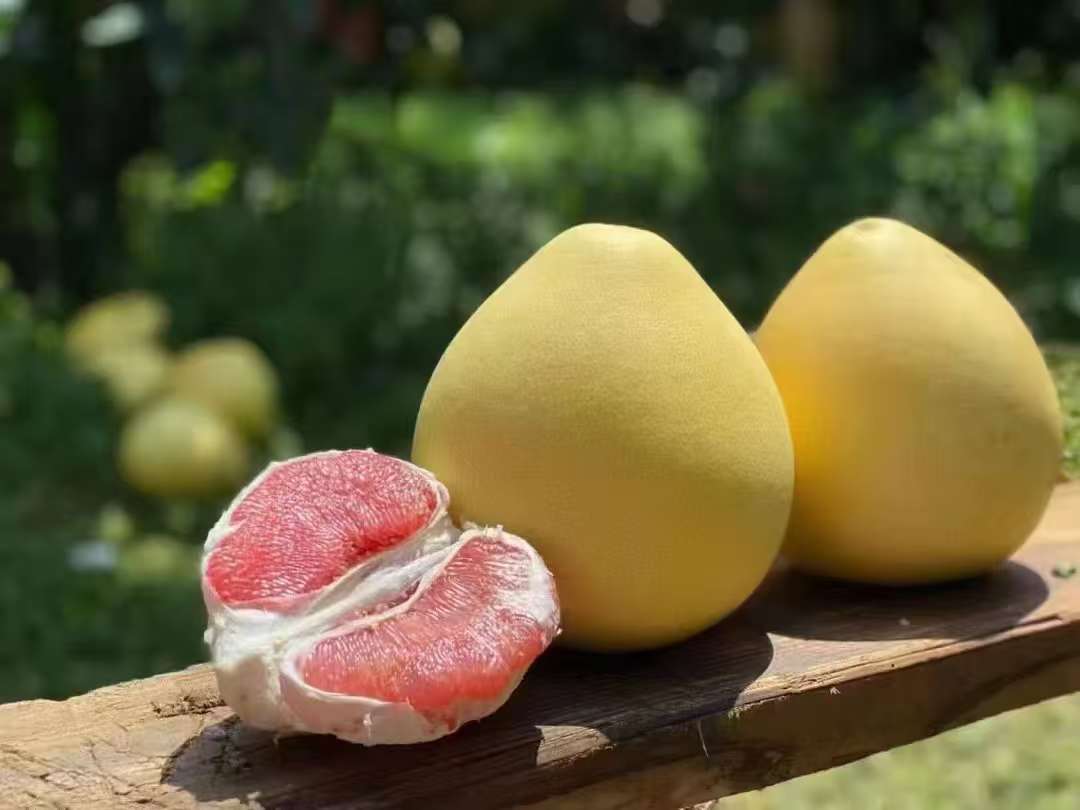 柚馋了红心/三红蜜柚