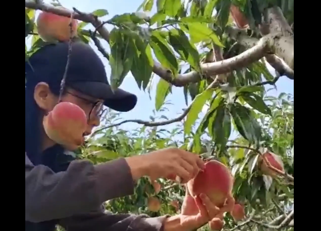 晨光初绽,八点启程。亚网视文旅资讯,每日与您相约,带您领略全新的风景,开启与众不同的清晨。