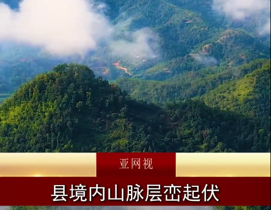 金秋时节,柚香馥郁。亞視为您盛情推荐,源自世界长寿之乡的大埔蜜柚。