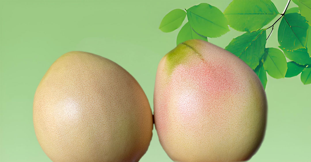 梅州大埔-红心蜜柚 三红蜜柚