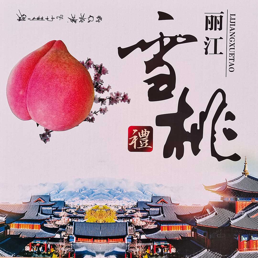 丽江高原大雪桃