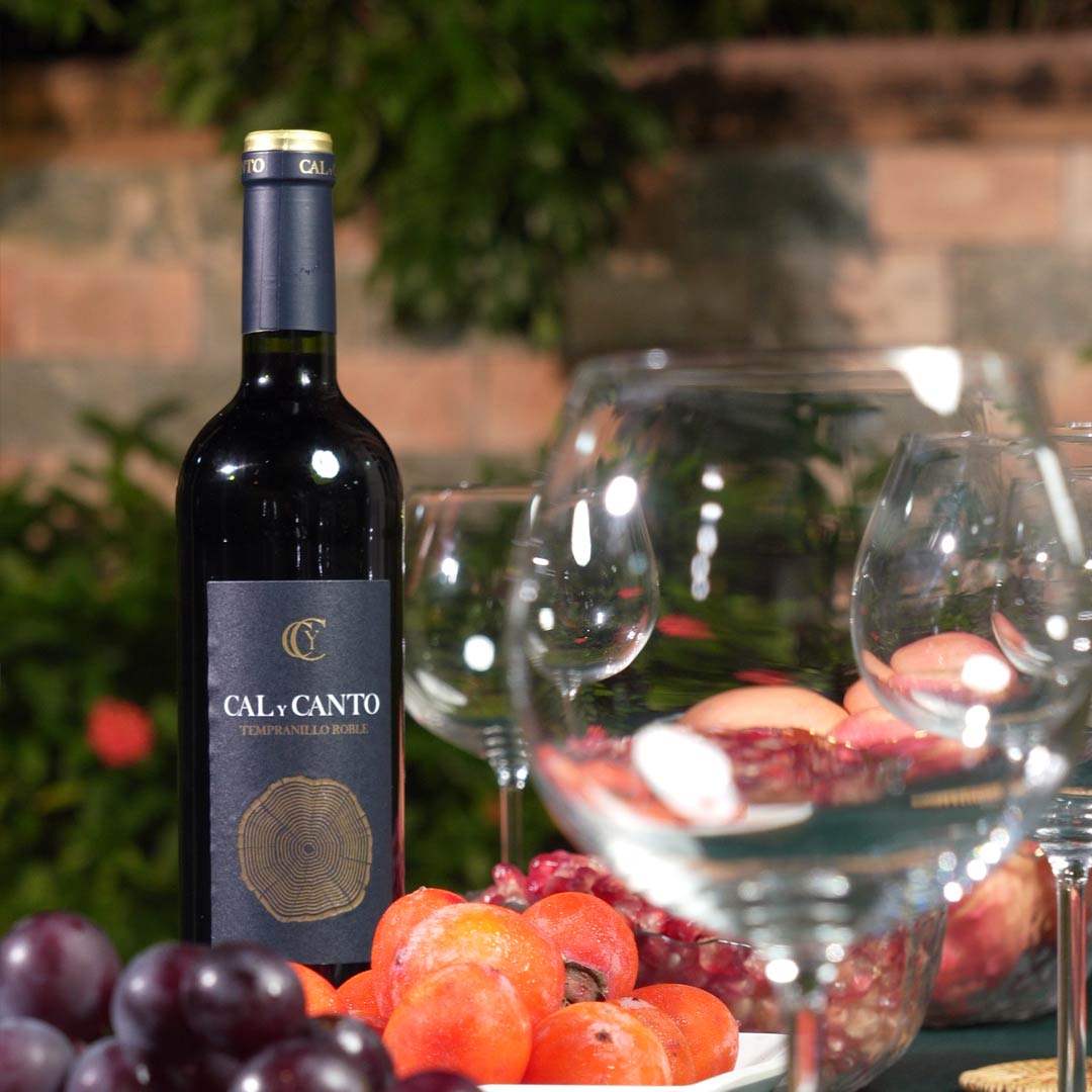 【臻品红酒】 原装进口卡利坎特佳酿干红葡萄酒