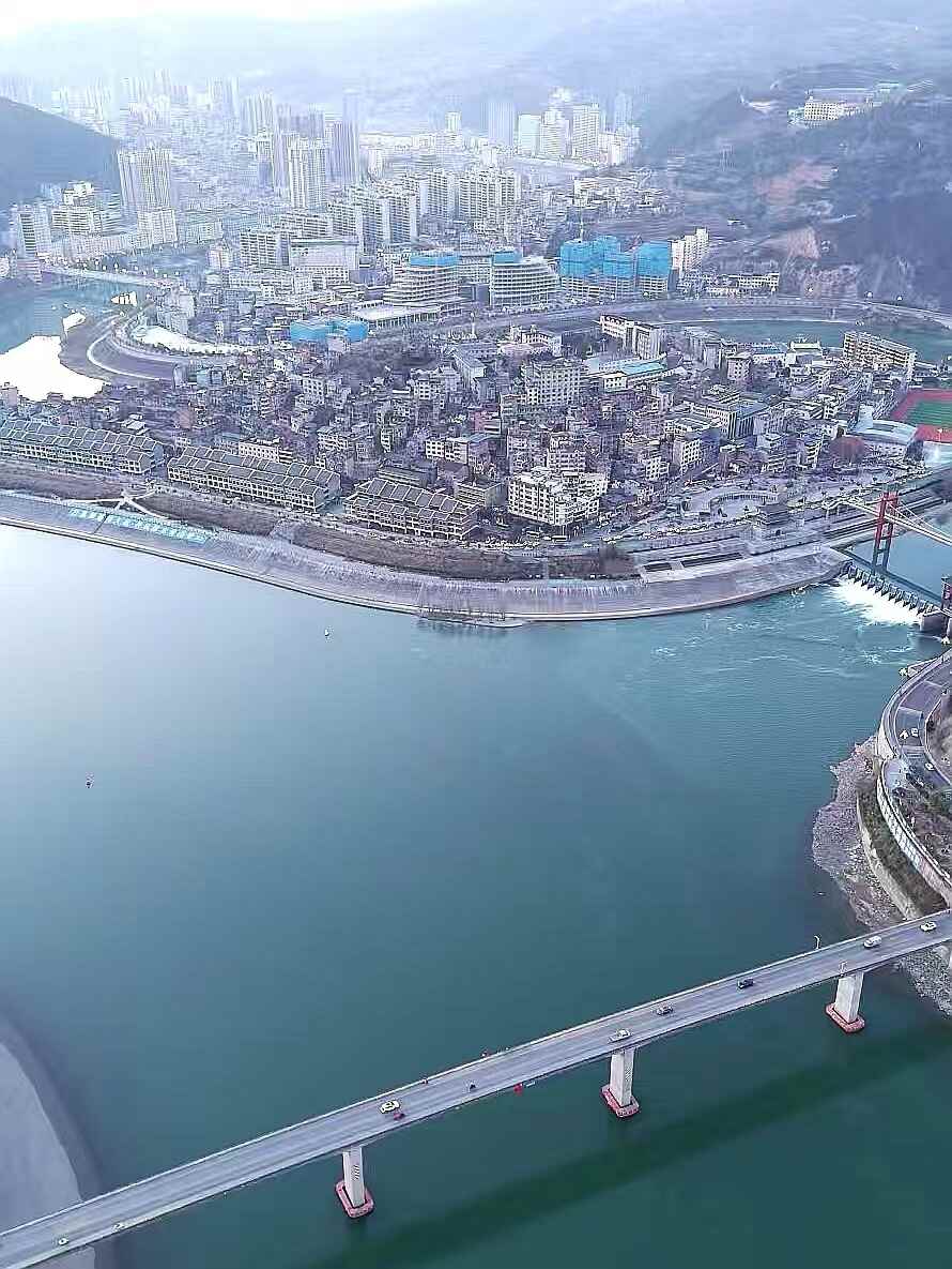 旬阳狮头柑甜蜜上市，秦岭孕育的“黄金果”