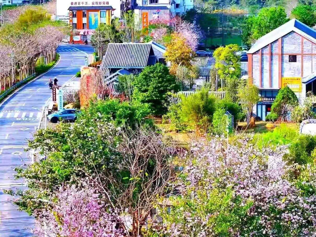 亚视推出文化音乐栏目《声动四海》 以音乐为桥连接多元文化