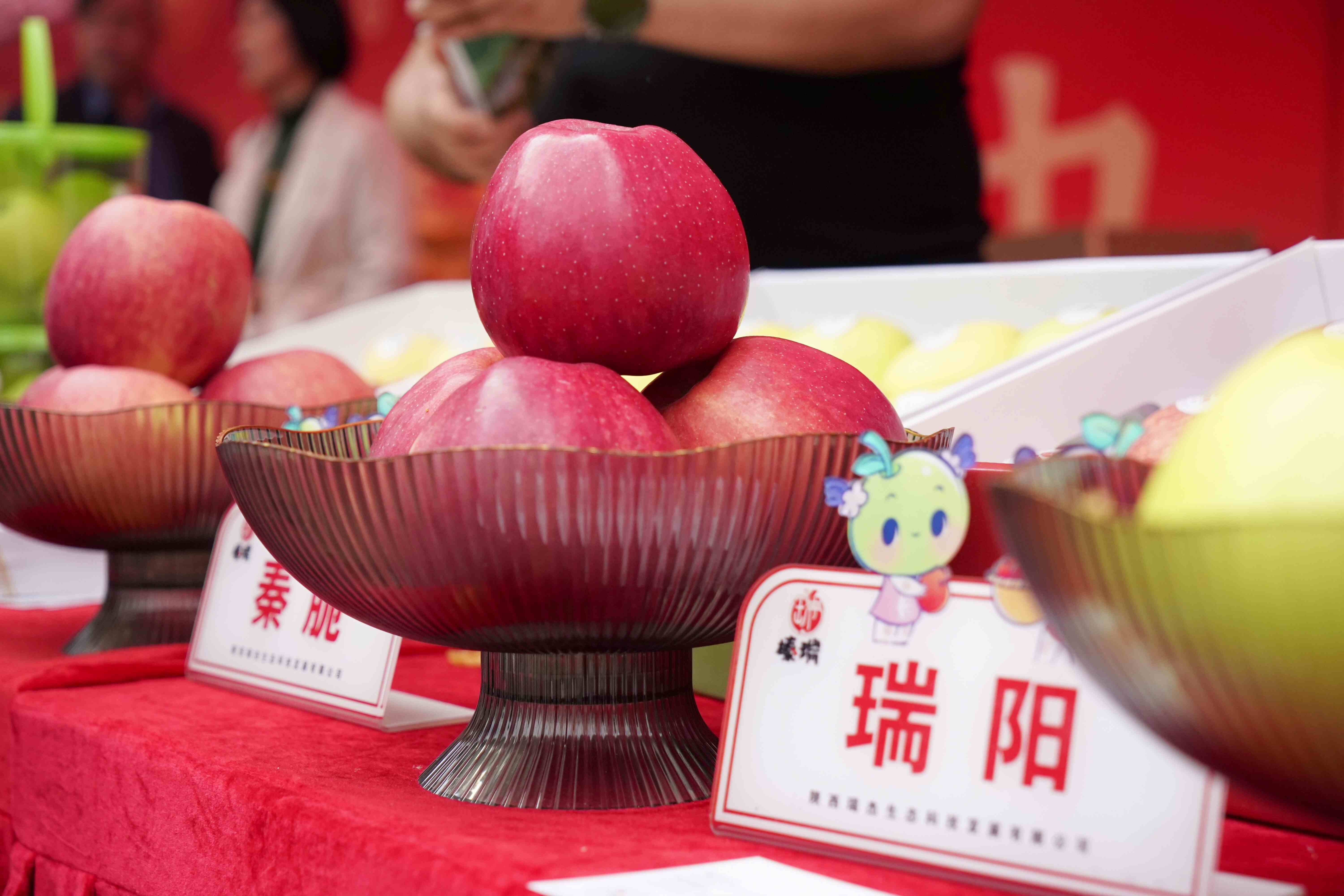 陕西非遗大集亮相深圳:于都市繁华处,邂逅千年三秦风韵