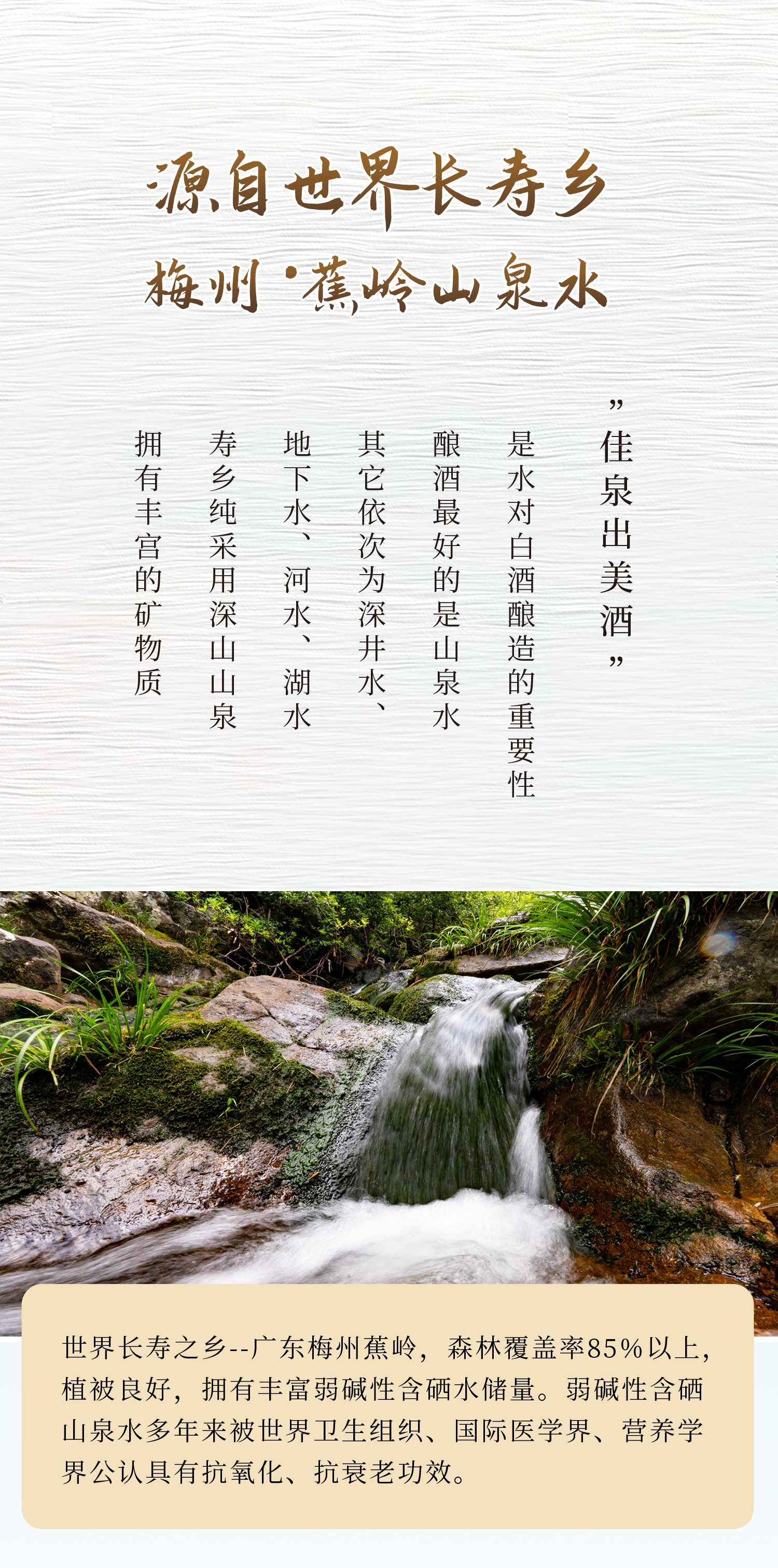 恒温洞藏古法酿造 寿乡醇 42° 米香型白酒 500ml*6瓶/箱