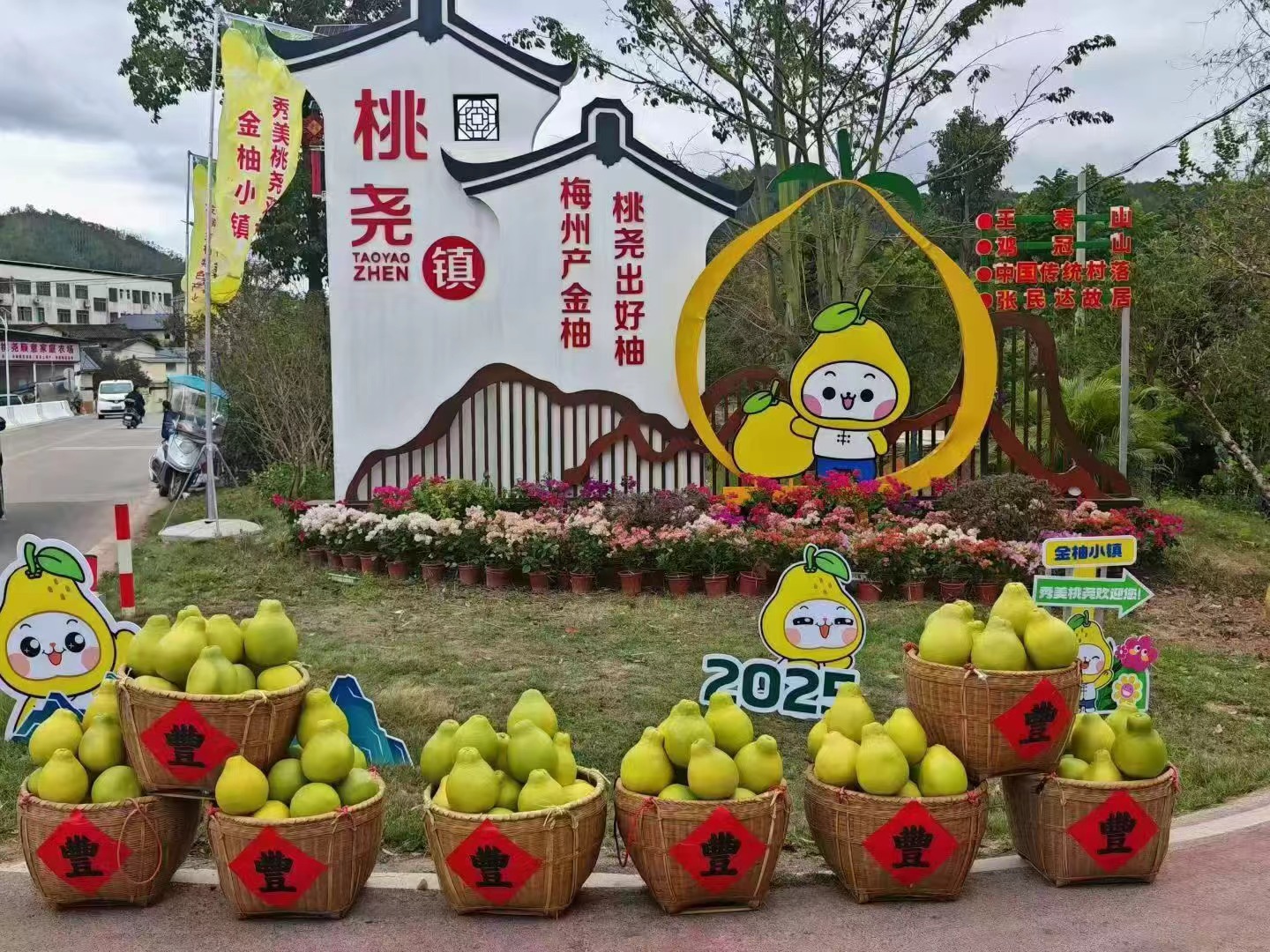 糖化好 纯甜不酸 梅州桃尧沙田柚 肉质脆嫩 清甜爽口 30斤/袋（网袋）