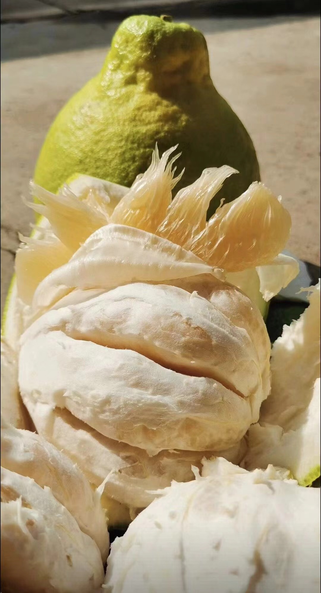 糖化好 纯甜不酸 梅州桃尧沙田柚 肉质脆嫩 清甜爽口 30斤/袋（网袋）