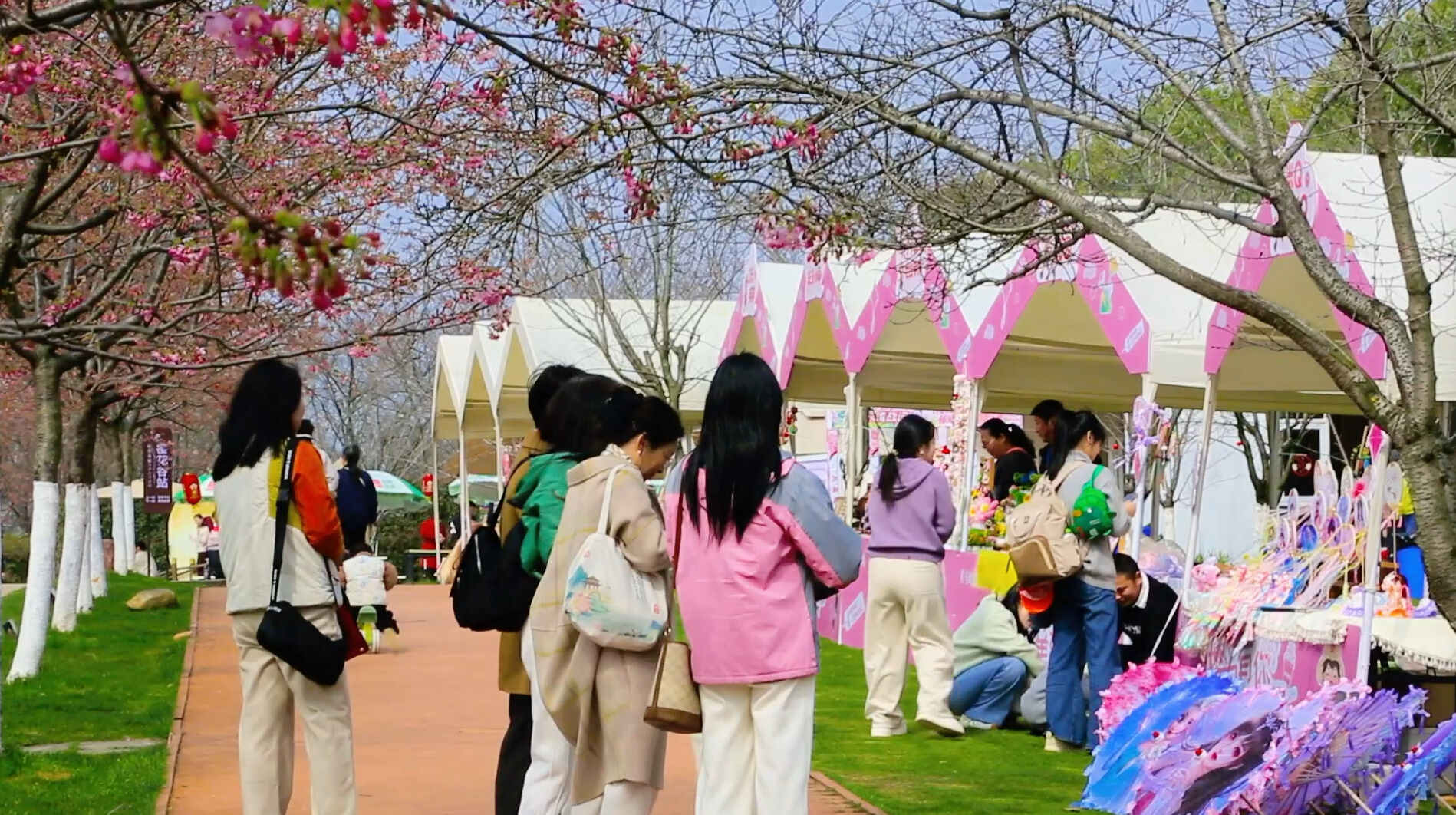 春日来信，邀你共赴凤凰沟“五彩花海”之约