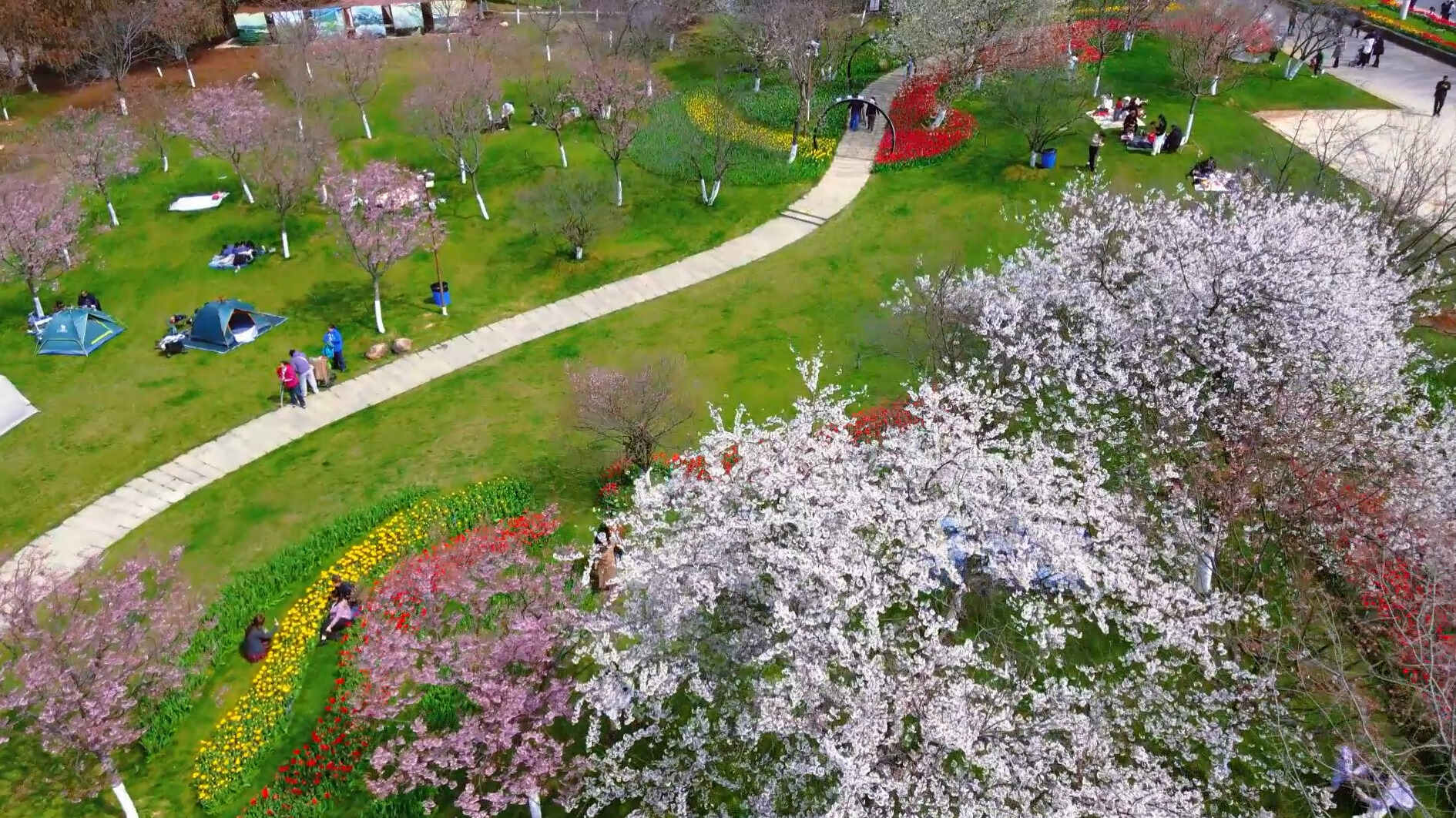 春日来信，邀你共赴凤凰沟“五彩花海”之约