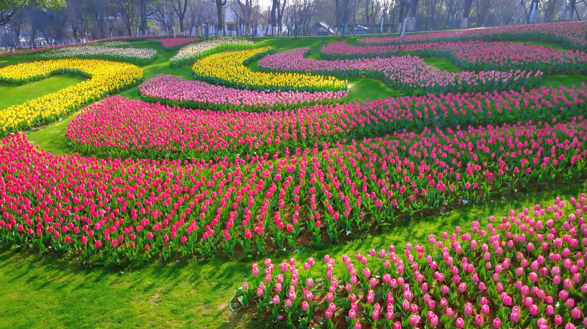 春日来信，邀你共赴凤凰沟“五彩花海”之约