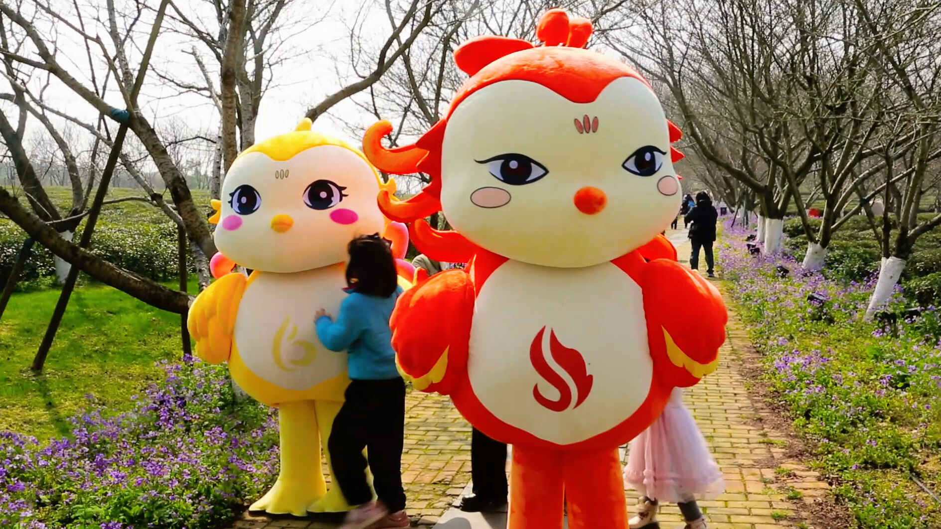 春日来信，邀你共赴凤凰沟“五彩花海”之约