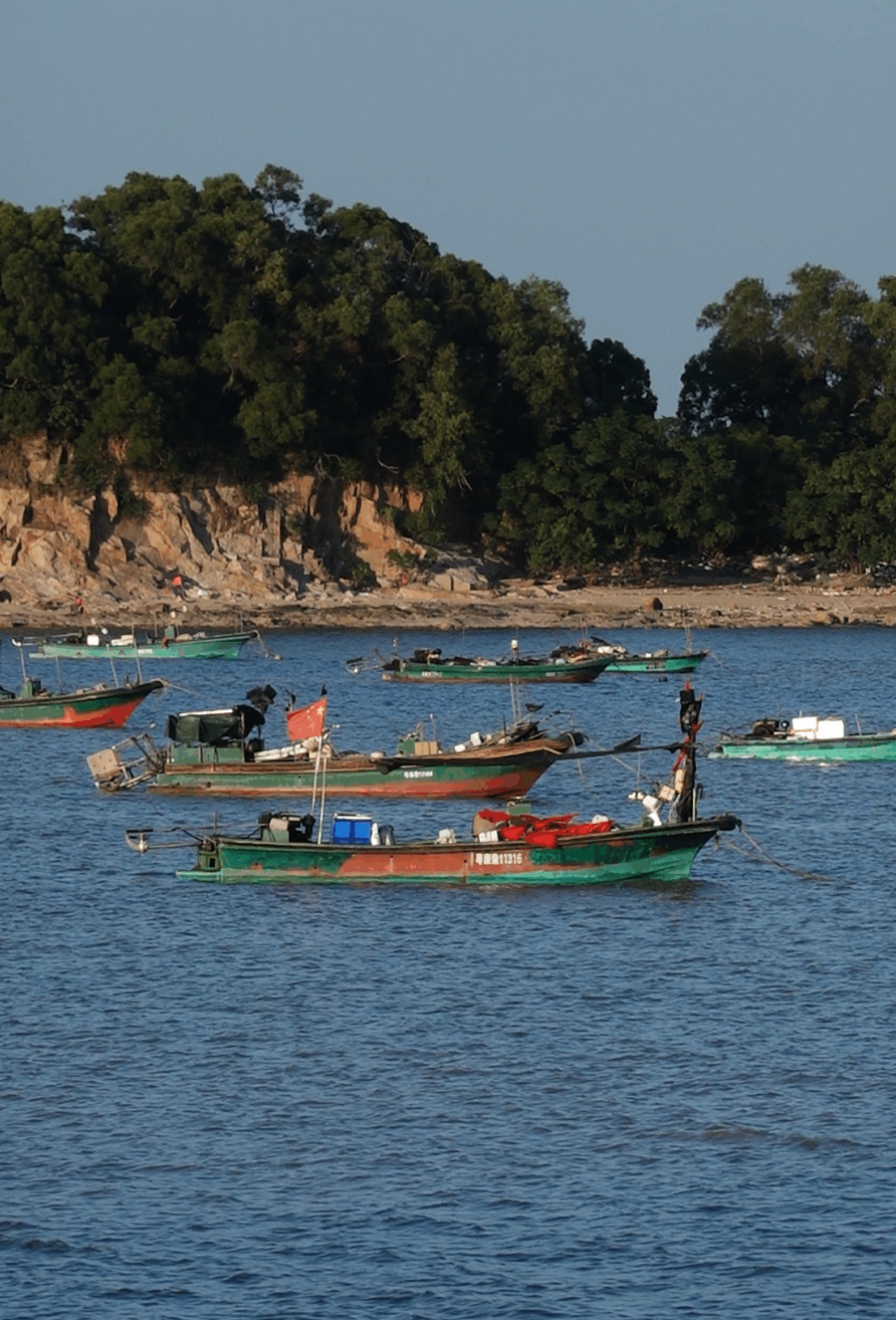 2026广东文旅新政落地!珠海、中山迎来多重利好,春季出游更划算