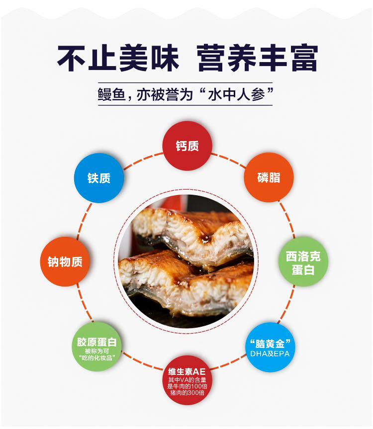 【龙德食品】正宗日式蒲烧鳗鱼