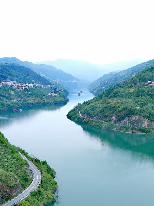 秦岭巴山间樱桃红：旬阳段家河镇“黄金樱桃”迎来上市季