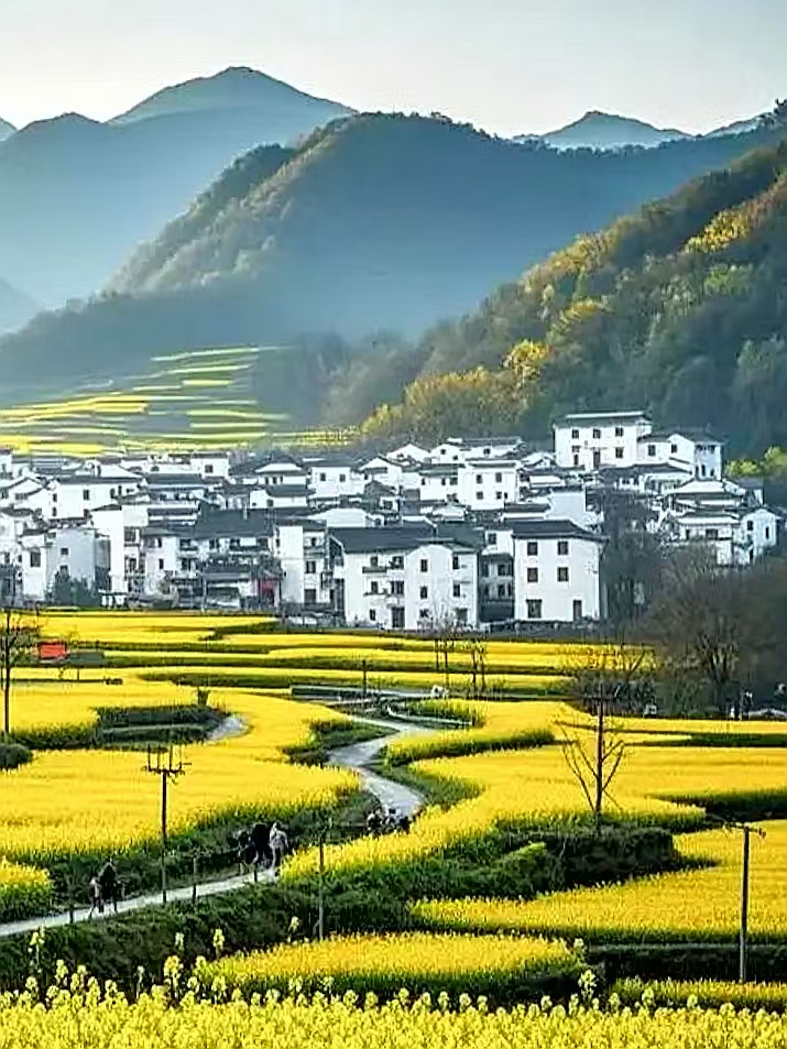 一路繁花向春行：各地花事接力绽放，“赏花+”解锁文旅新体验