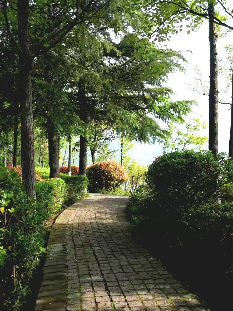 五一奔赴山水旬阳！2天1晚自驾深度攻略，一键收藏