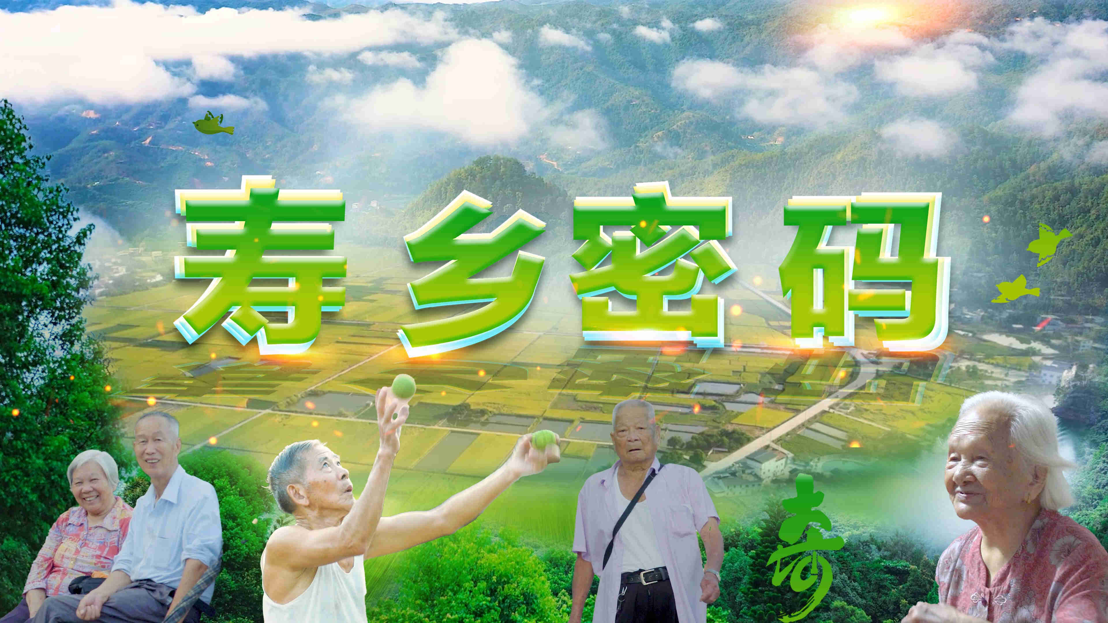 《寿乡密码》栏目