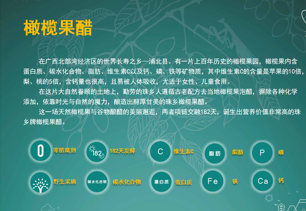 橄榄果醋饮料 榄小乐易拉罐装 245ml*15罐/箱
